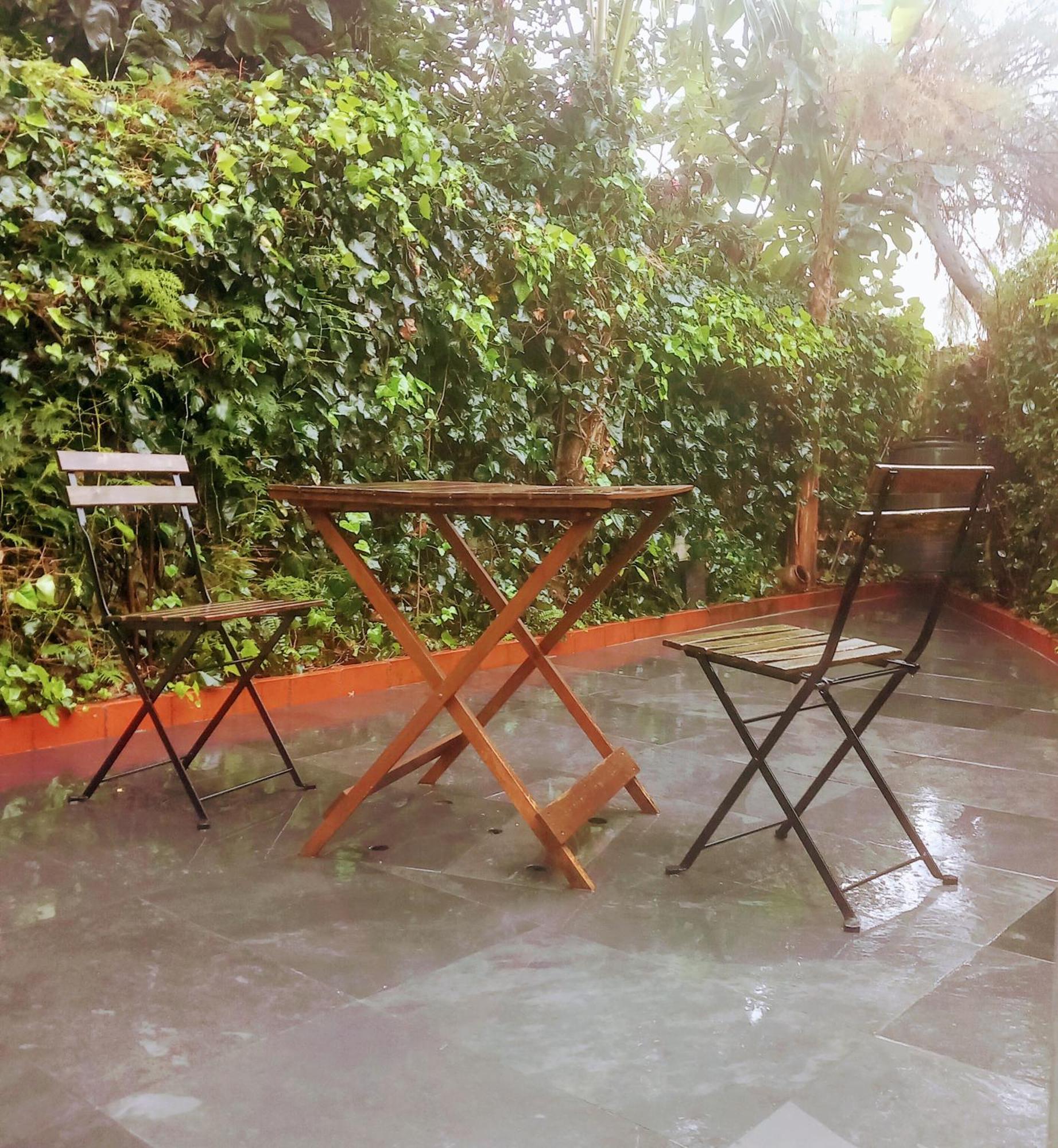 Apartment With Private Garden Porto Zewnętrze zdjęcie